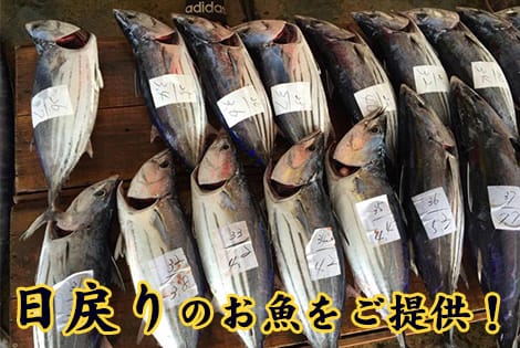 鮮度の高い日戻りのお魚をご提供！