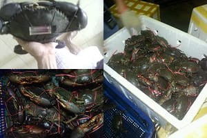 product_img003